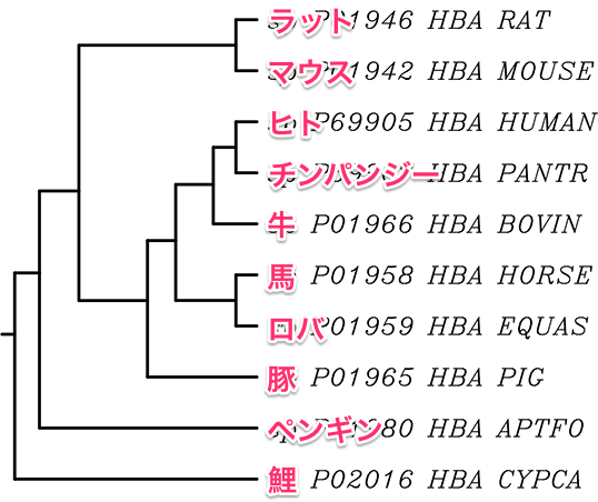 tree_upgma.png