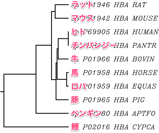 treebl_upgma.png