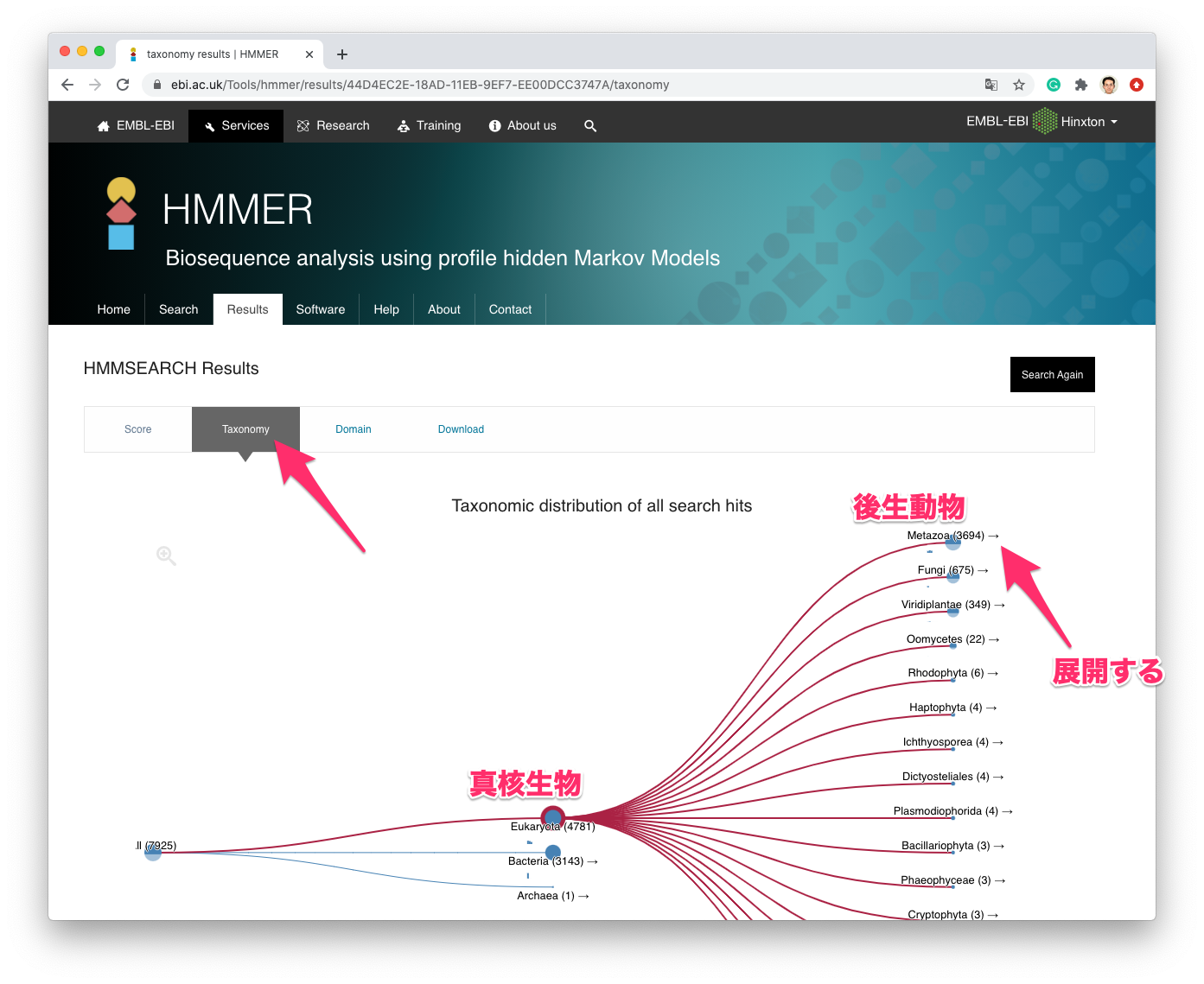 hmmer_taxonomy.png